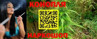МДПВ Краснодар