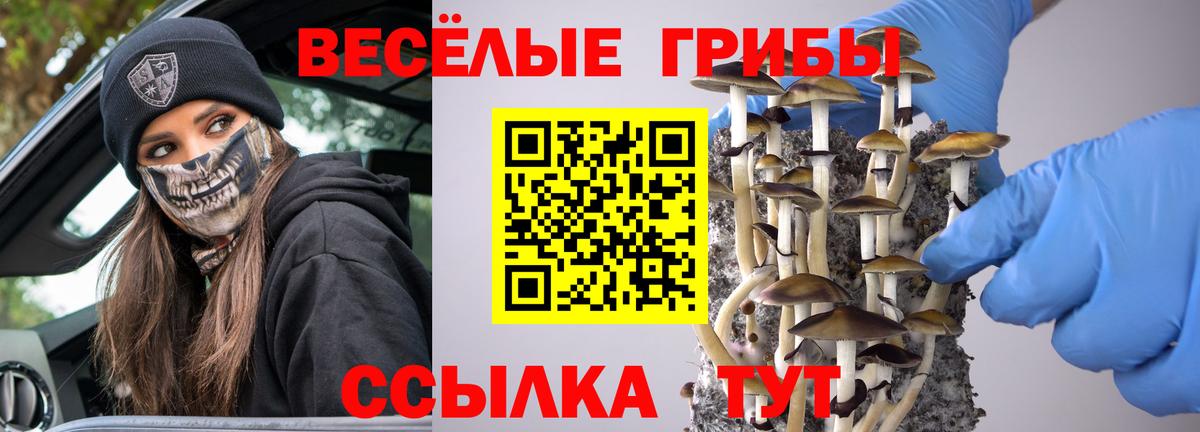 Галлюциногенные грибы Psilocybe  Вход с VPN  Галлюциногенные грибы Magic Shrooms  Ялуторовск 
